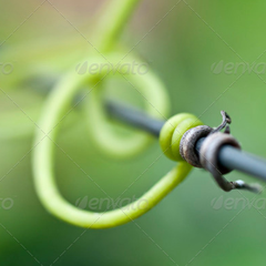 无限拨打短信软件