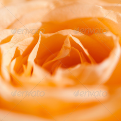 免费轰炸电话软件下载