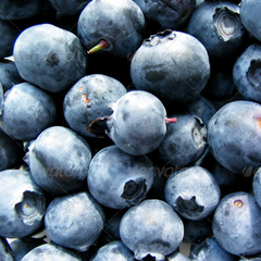 电话在线轰炸测试