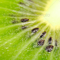 专业解决方案的云呼死你轰炸免费网页平台