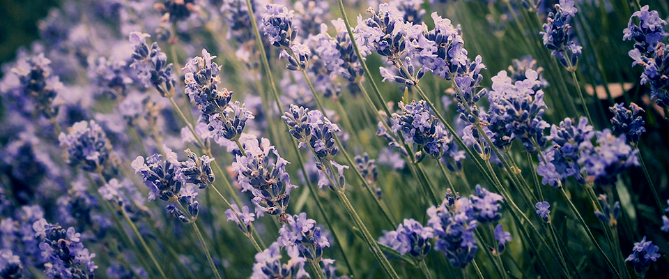 呼叫TA急速系统